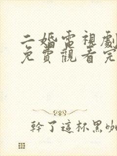 二婚电视剧全集免费观看完整版高清