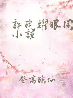 许我耀眼同人文小说