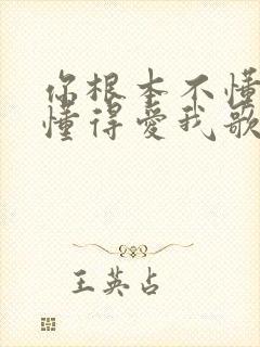 你根本不懂得不懂得爱我歌词