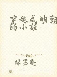 穿越成明朝皇帝的小说