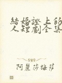 结婚证上的陌生人短剧全集免费