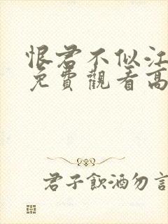 恨君不似江楼月免费观看高清