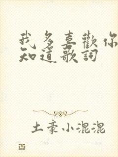 我多喜欢你你会知道歌词