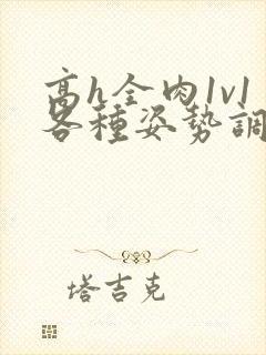 高h全肉1v1各种姿势调教男男