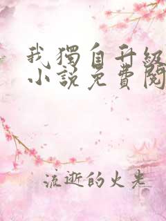 我独自升级原著小说免费阅读