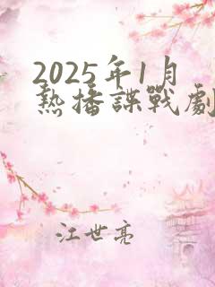 2025年1月热播谍战剧