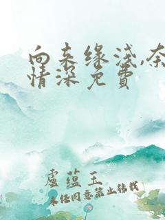 向来缘浅,奈何情深免费