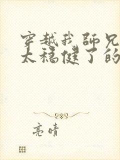 穿越我师兄实在太稳健了的小说