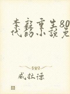 李毅重生80年代的小说免费阅读