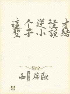 这个逆徒才不是圣子小说结局