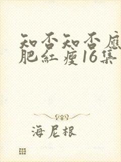 知否知否应是绿肥红瘦16集