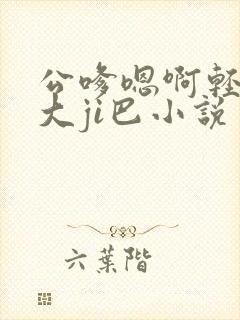 公嗲嗯啊轻点公大ji巴小说