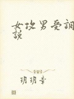 女攻男受调教小说