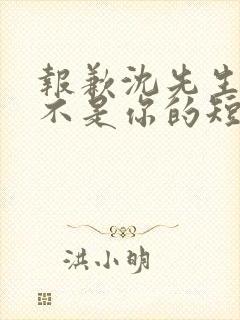 报歉沈先生孩子不是你的短剧大结局