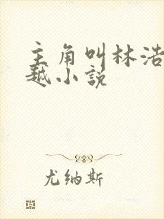 主角叫林浩的穿越小说