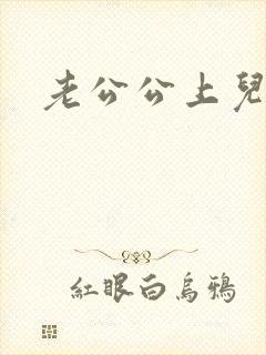 老公公上儿媳妇