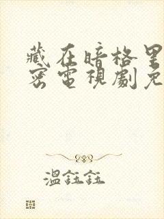 藏在暗格里的秘密电视剧免费看