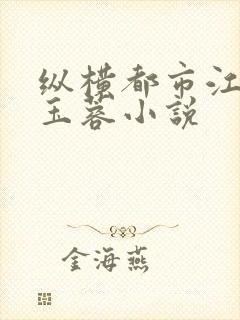 纵横都市江峰沈玉蓉小说