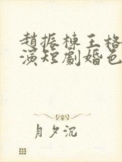 赵振栋王格格主演短剧婚色烟烟