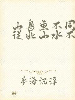 山鸟鱼不同路 从此山水不相逢
