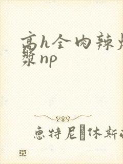 高h全肉辣爆灌浆np