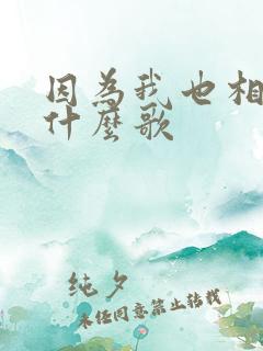 因为我也相信是什么歌