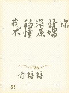我的深情你永远不懂原唱
