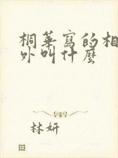 桐华写的相柳番外叫什么