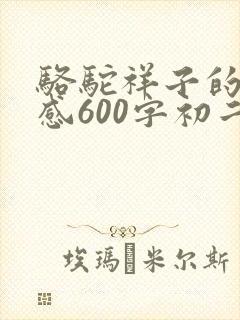 骆驼祥子的读后感600字初二