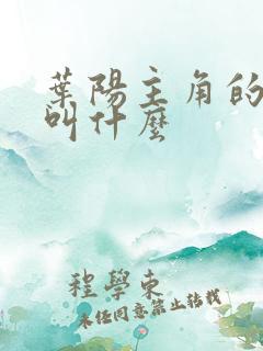 叶阳主角的小说叫什么