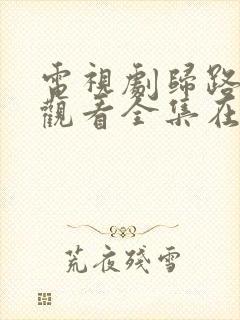 电视剧归路免费观看全集在线播放