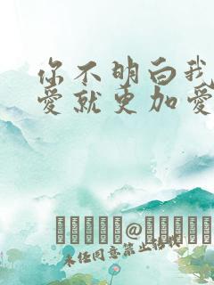 你不明白我说不爱就更加爱什么歌