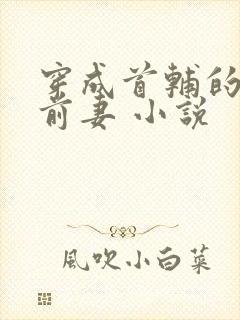 穿成首辅的炮灰前妻 小说