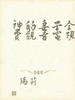 神的妻子全集免费观看电视剧下载