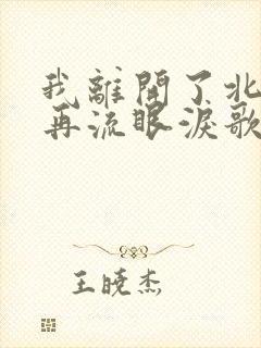 我离开了北方不再流眼泪歌词