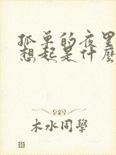 孤单的夜里把你想起是什么歌