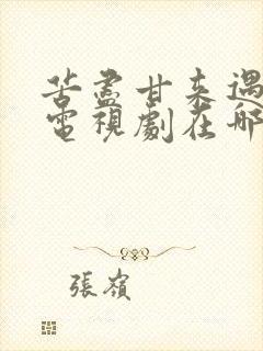 苦尽甘来遇见你电视剧在哪里看