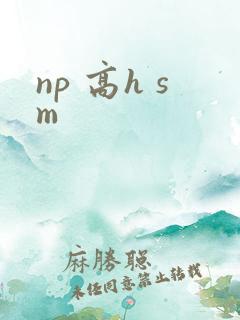 np 高h sm