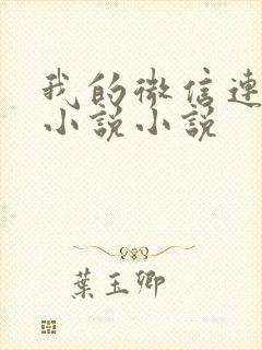 我的微信连三界小说小说