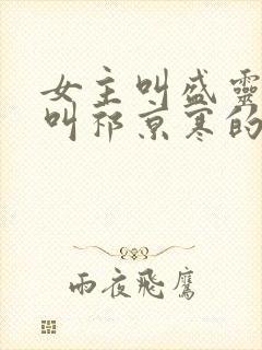 女主叫盛灵男主叫祁京寒的小说