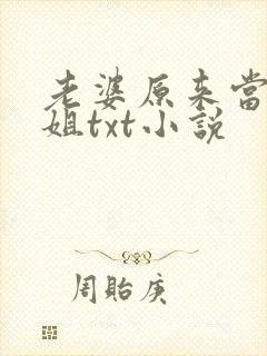 老婆原来当过小姐txt小说