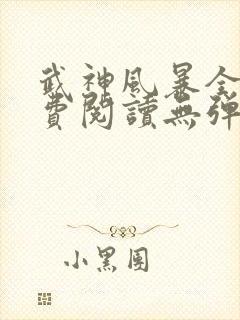 武神风暴全文免费阅读无弹窗笔趣阁