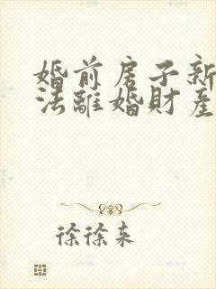 婚前房子新婚姻法离婚财产分割