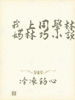 我上同学林虎妈妈林巧小说