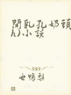 开乳孔奶头(高h)小说