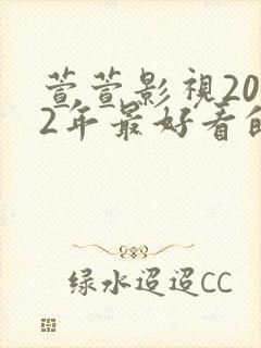 萱萱影视2022年最好看的电视剧