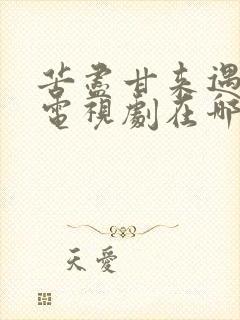 苦尽甘来遇见你电视剧在哪看