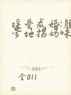 暖爱成婚:腹黑爹地拐妈咪