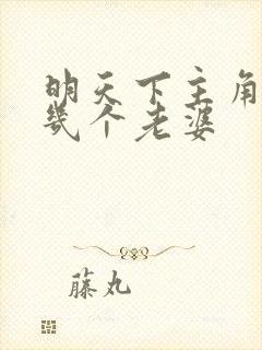 明天下主角娶了几个老婆