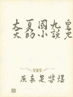 大夏国九皇子夏天的小说免费阅读